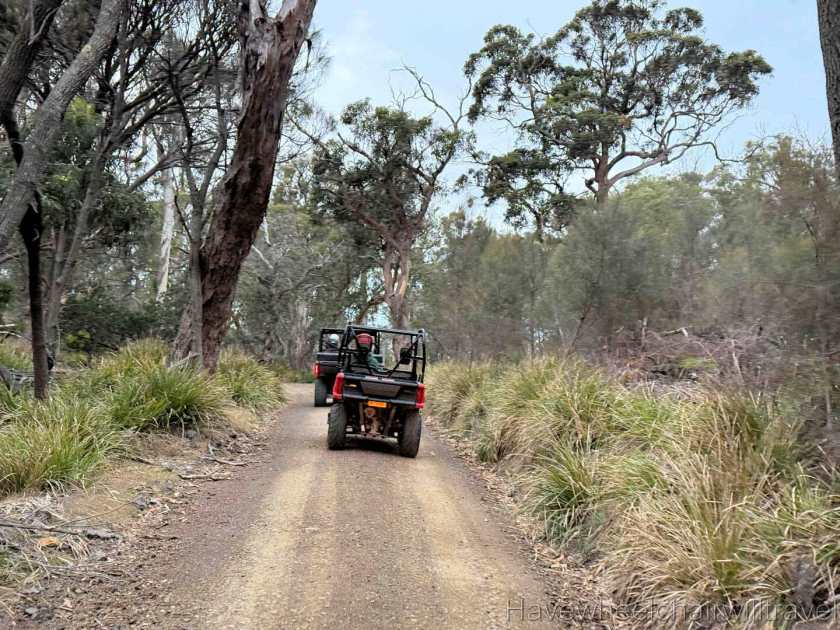 All 4 All Terrain Tours Freycinet review - Have Wheelchair Will Travel