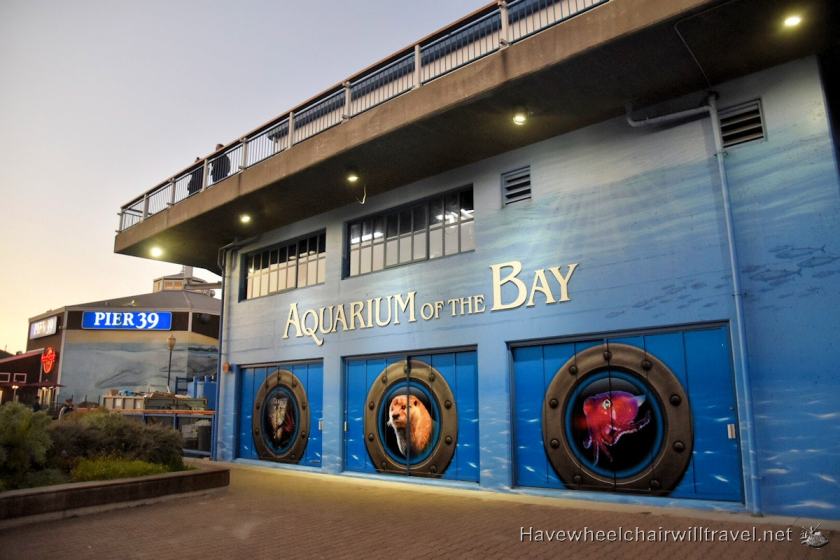 Argonaut Hotel - accessible San Francisco - Aquarium of the Bay - Have Wheelchair Will Travel