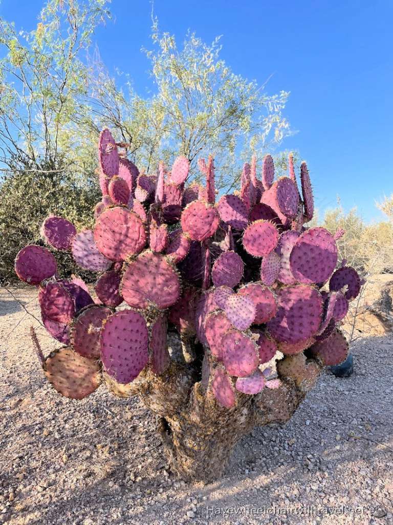 Sheraton Wild Horse Pass - accessible Phoenix Arizona - Have Wheelchair Will Travel