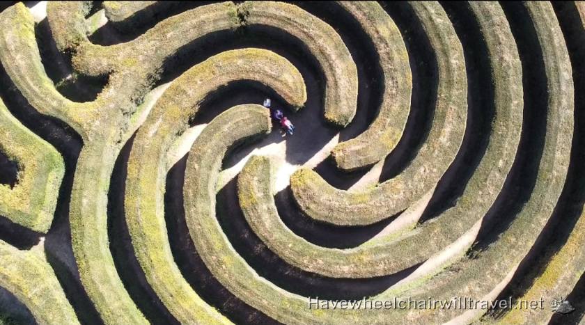 Bago Maze - wheelchair accessible Port Macquarie - Have Wheelchair Will Travel 