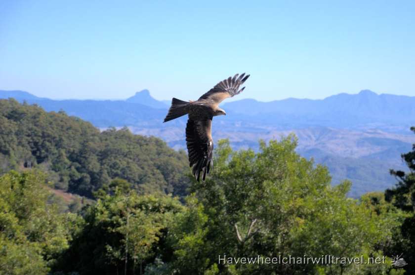 Gold Coast - accessible Gold Coast