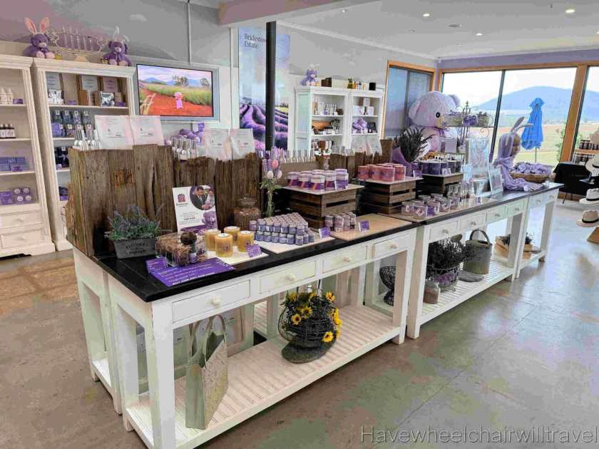 Bridestowe Lavender Farm Tasmania review - Have Wheelchair Will Travel