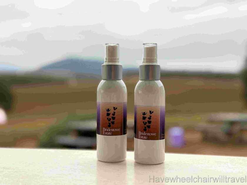 Bridestowe Lavender Farm Tasmania review - Have Wheelchair Will Travel