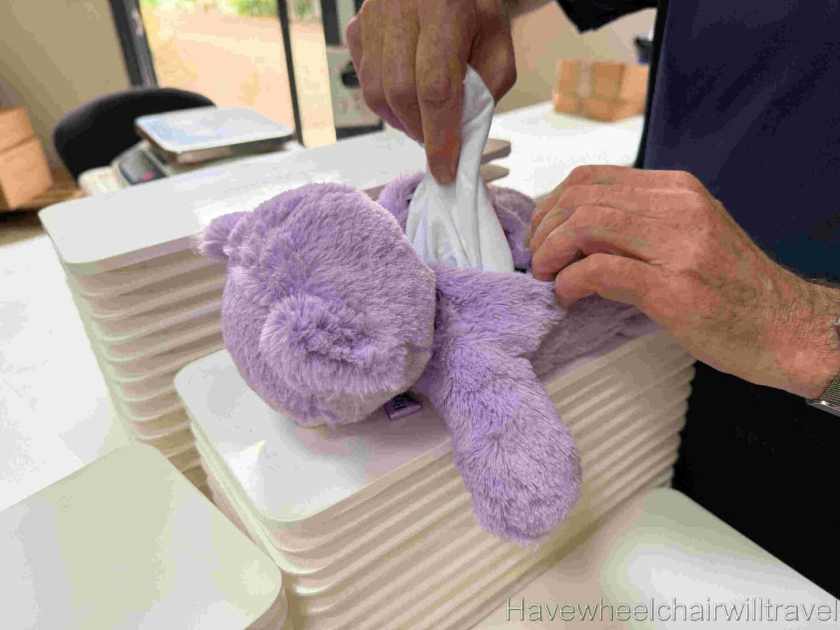 Bridestowe Lavender Farm Tasmania review - Have Wheelchair Will Travel