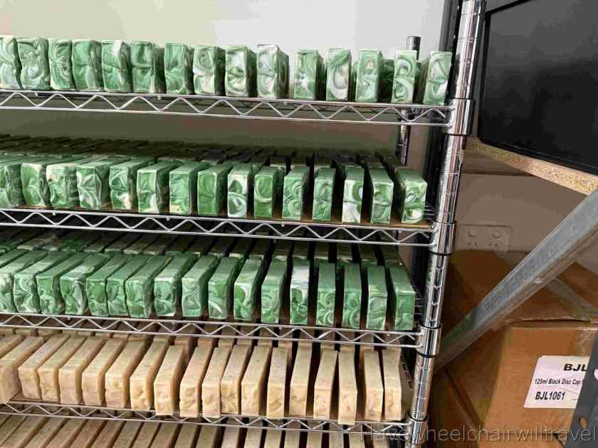 Bridestowe Lavender Farm Tasmania review - Have Wheelchair Will Travel