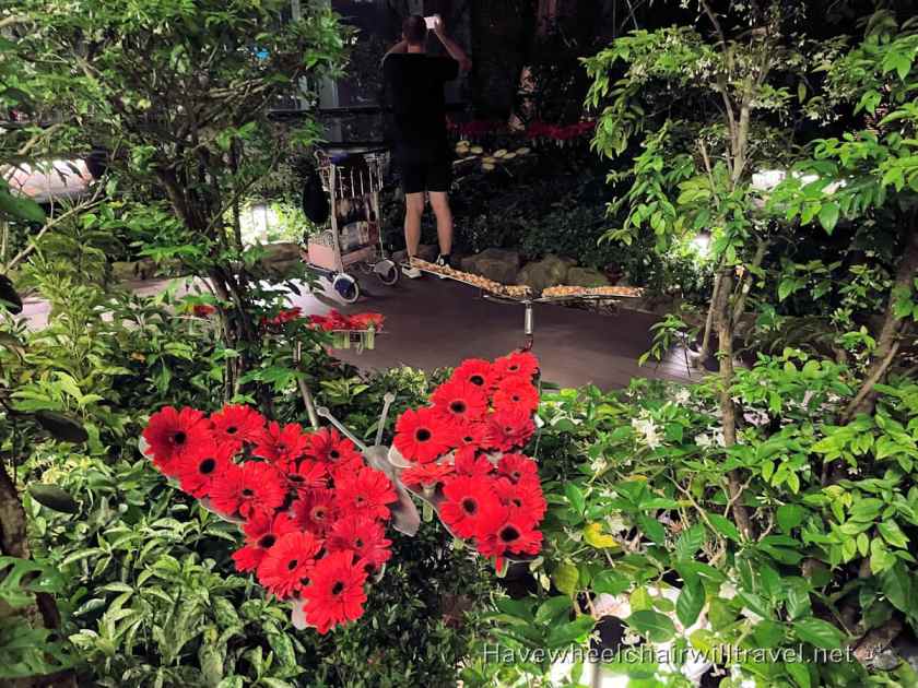 Changi Airport Singapore - accessibility - Have Wheelchair Will Travel