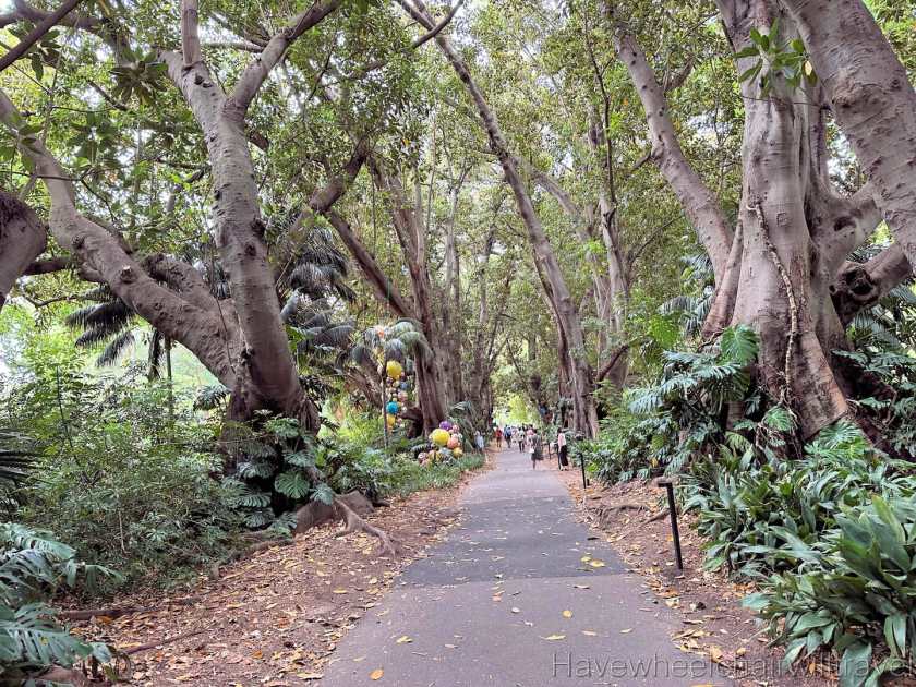 Chihuly exhibition review Adelaide Botanic Gardens - Have Wheelchair Will Travel