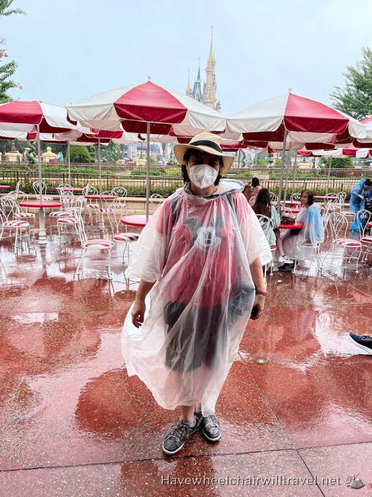 Covid what you need to know when you are travelling - Have Wheelchair Will Travel