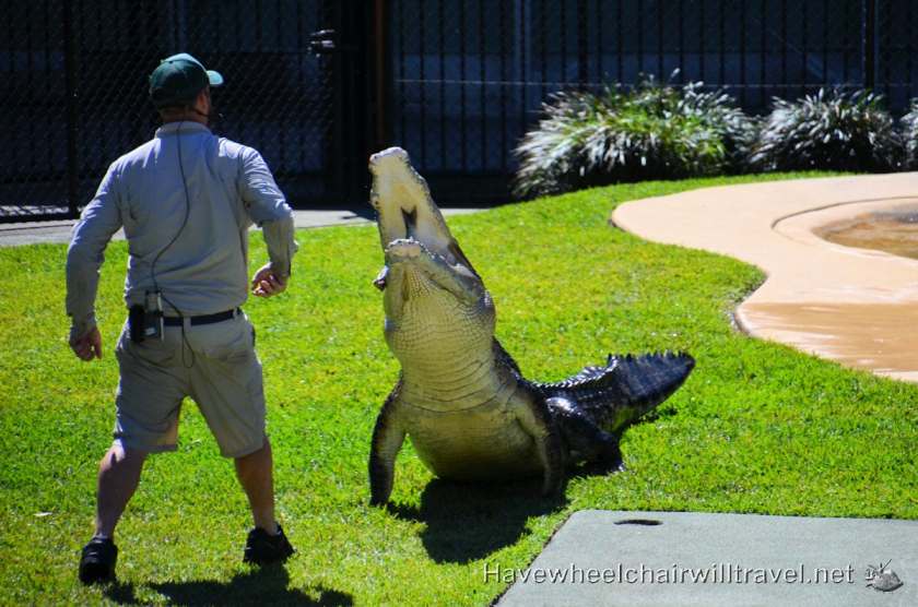 Australia Zoo