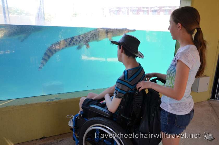 Crocosaurus Cove - wheelchair accessible Northern Territory - Have Wheelchair Will Travel 