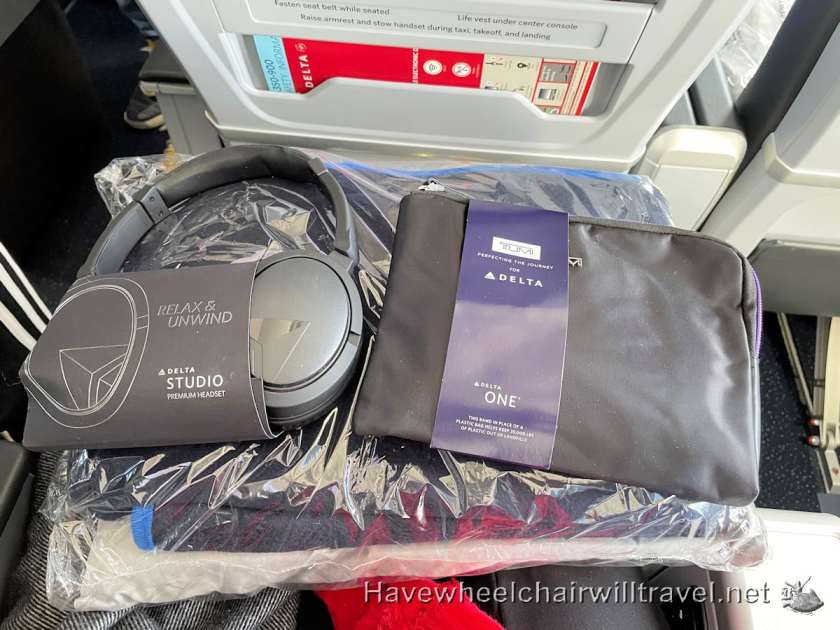 Delta Premium Select review - Have Wheelchair Will Travel