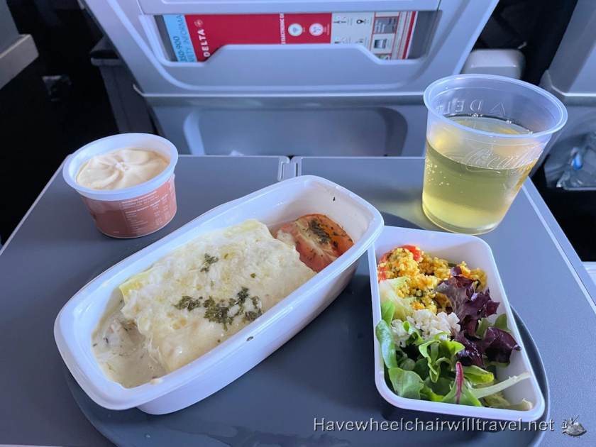 Delta Premium Select review - Have Wheelchair Will Travel