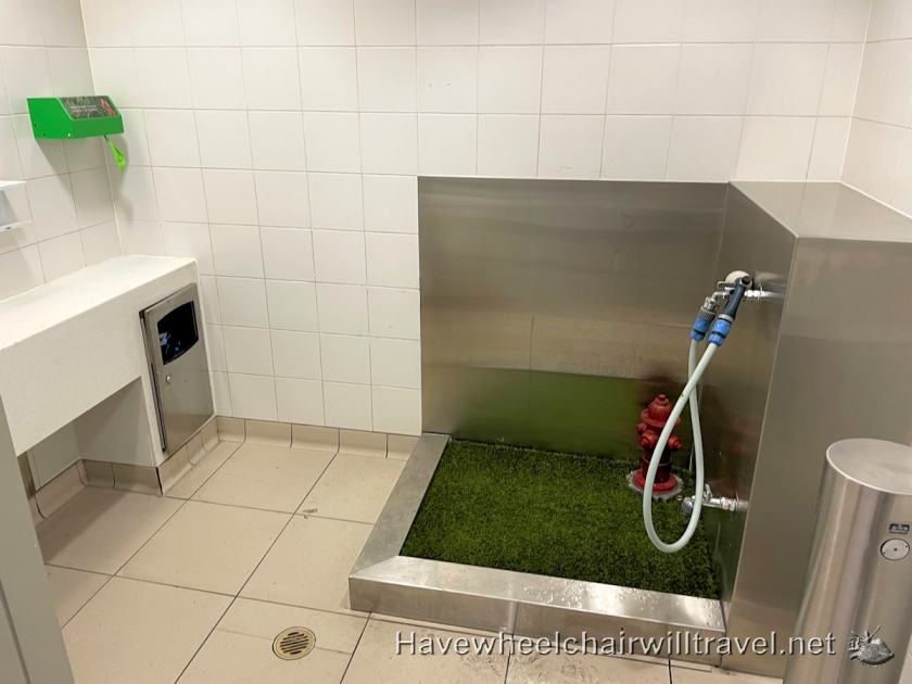 Braeden's first flight in 3 years - Gold Coast getaway - Have Wheelchair Will Travel 