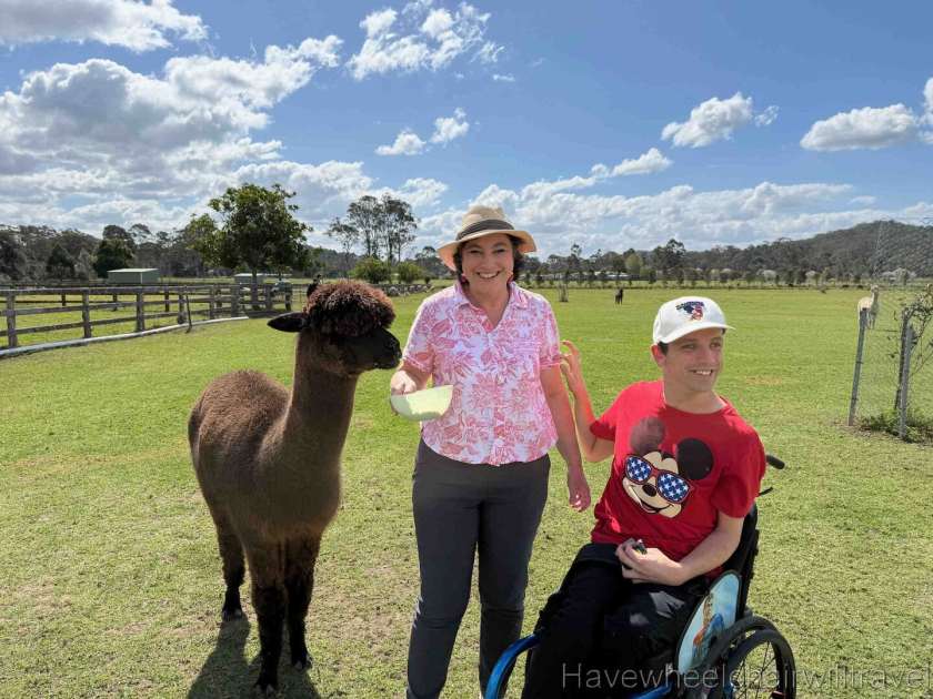 Iris Lodge Alpaca - Have Wheelchair Will Travel