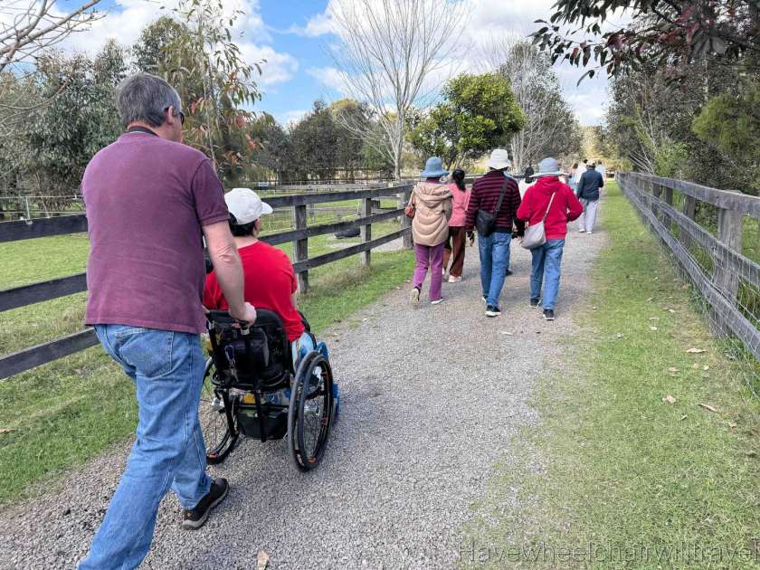 Iris Lodge Alpaca - Have Wheelchair Will Travel