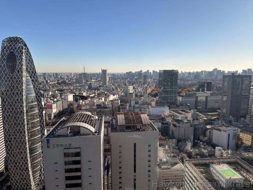 Mother daughter trip to Japan - Have Wheelchair Will Travel