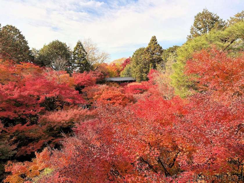 Mother daughter trip Japan