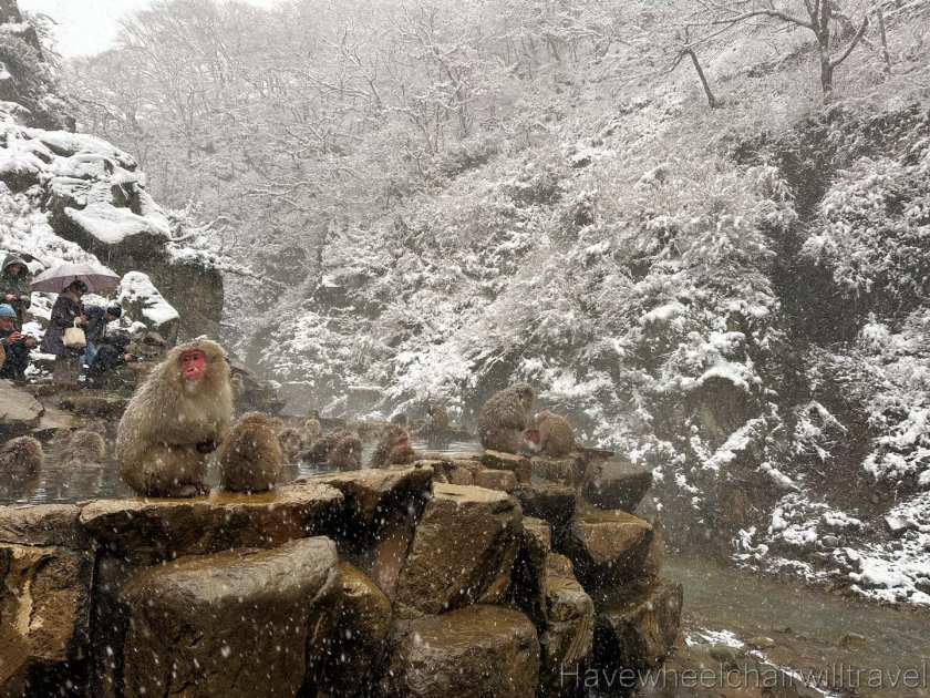 Mother daughter trip to Japan - Have Wheelchair Will Travel