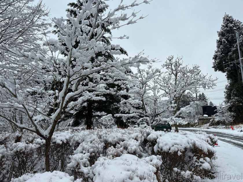 Mother daughter trip to Japan - Have Wheelchair Will Travel