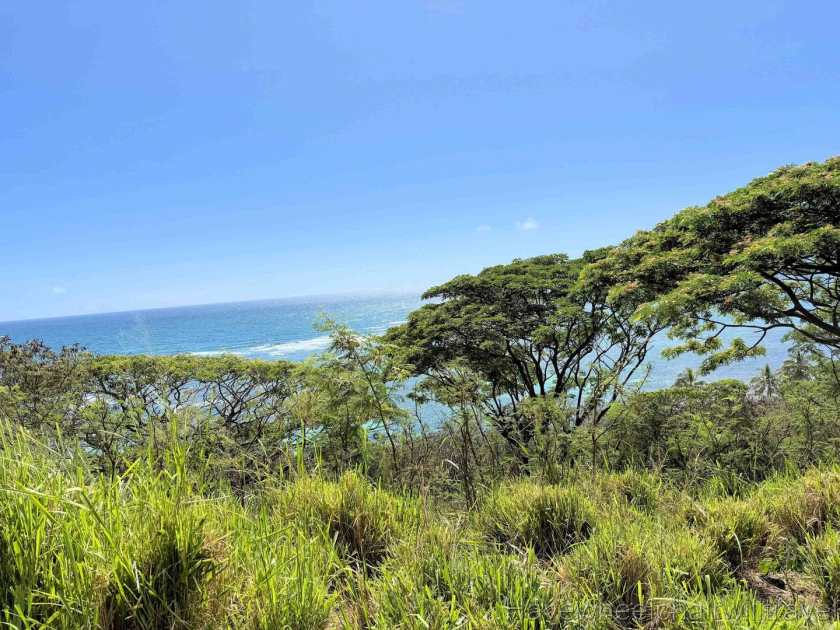 Kualoa Ranch Hawaii review - Have Wheelchair Will Travel