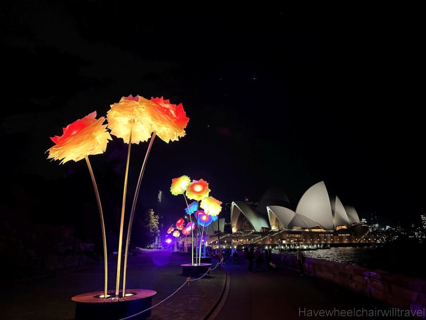 Lightscape - Royal Botanic Garden Sydney - accessible Sydney - Have Wheelchair Will Travel