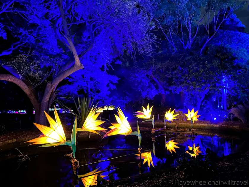 Lightscape - Royal Botanic Garden Sydney - accessible Sydney - Have Wheelchair Will Travel