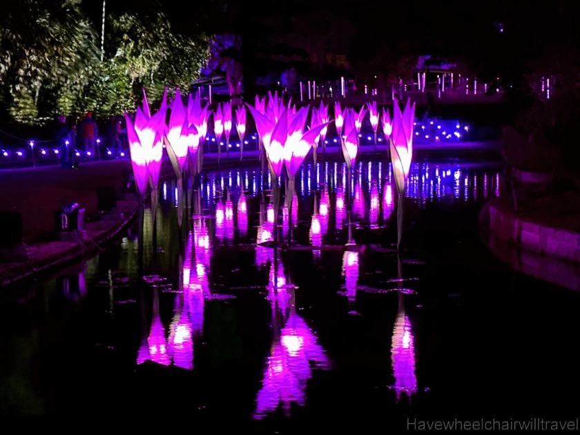 Lightscape - Royal Botanic Garden Sydney - accessible Sydney - Have Wheelchair Will Travel