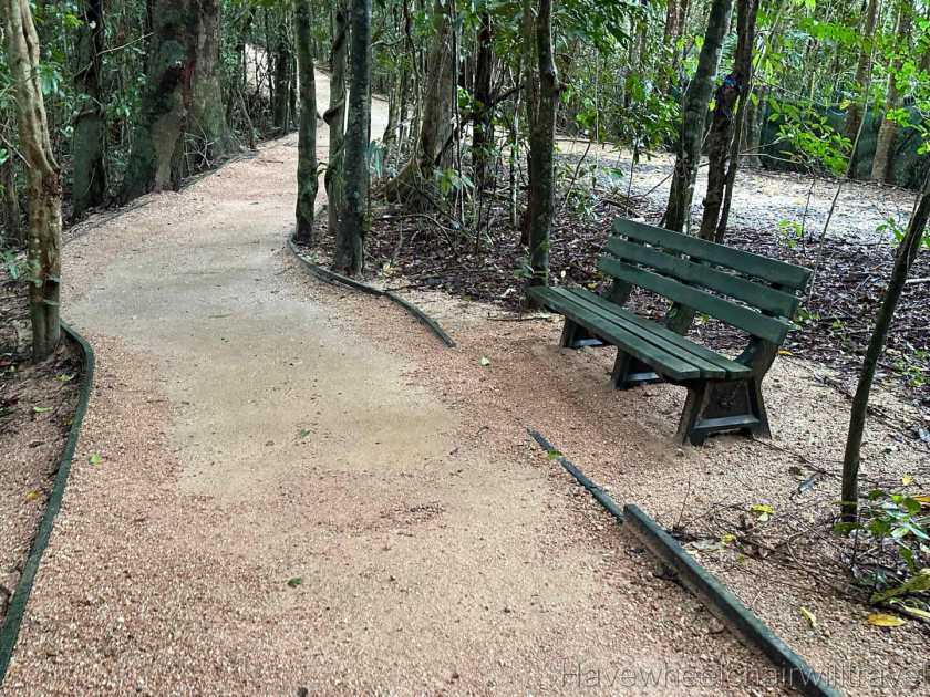 On arrival at Mamu Tropical Skywalk staff provided us with detailed information about what to expect on the walk and how to avoid any areas that might be a little bit more of a push with a wheelchair. 