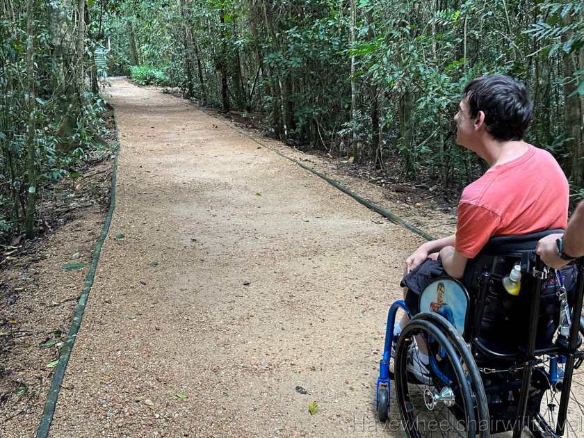 Mamu Tropical Skywalk -wheelchair accessible walk - Have Wheelchair Will Travel