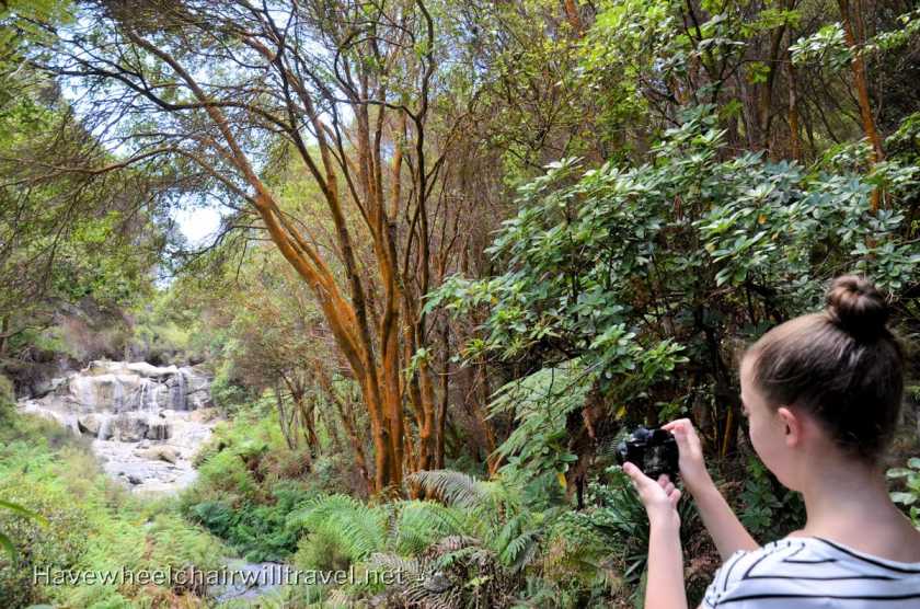 Hell's Gate Rotorua - accessible New Zealand