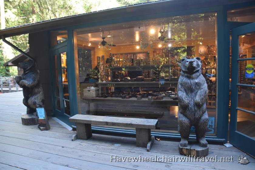 Muir Woods National Monument - accessible San Francisco - Have Wheelchair Will Travel 