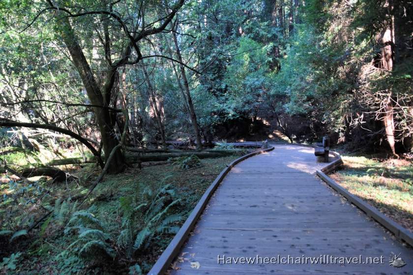 Muir Woods National Monument - accessible San Francisco - Have Wheelchair Will Travel 