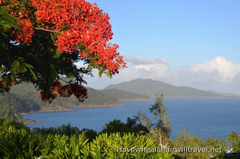 Travel Heath & Hygiene - Have Wheelchair Will Travel