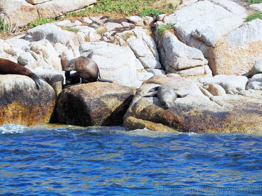 Wineglass Bay Cruises - Pennicott Wilderness Journeys - Have Wheelchair Will Travel