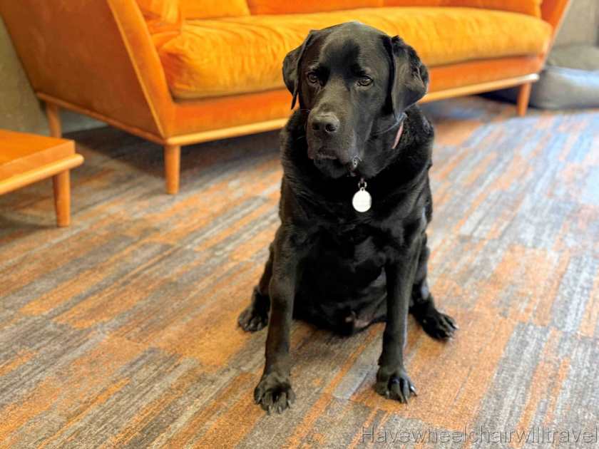 Peppers Silo Launceston review - Have Wheelchair Will Travel