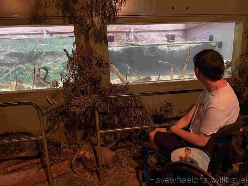 Platypus House Tasmania review - Have Wheelchair Will Travel