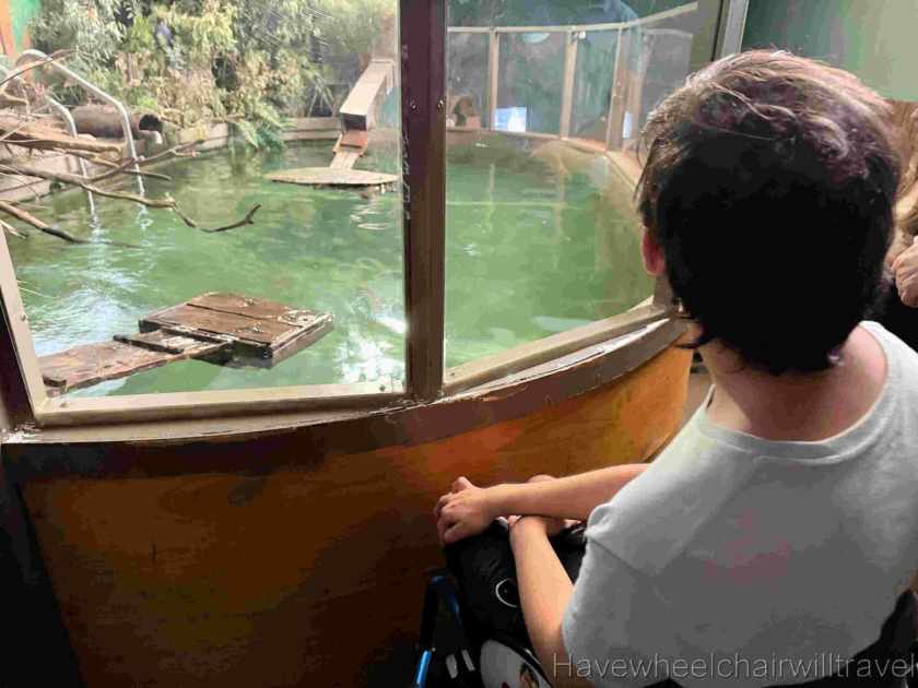 Platypus House Tasmania review - Have Wheelchair Will Travel