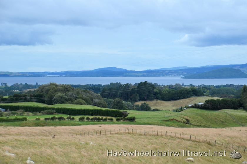 Rail Cruising Rotorua - accessible New Zealand - Have Wheelchair Will Travel