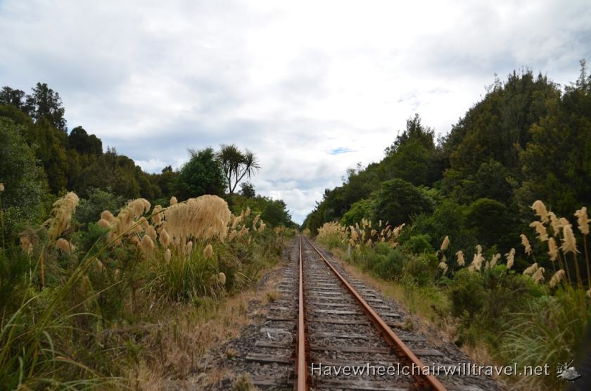 Rail Cruising Rotorua - accessible New Zealand - Have Wheelchair Will Travel