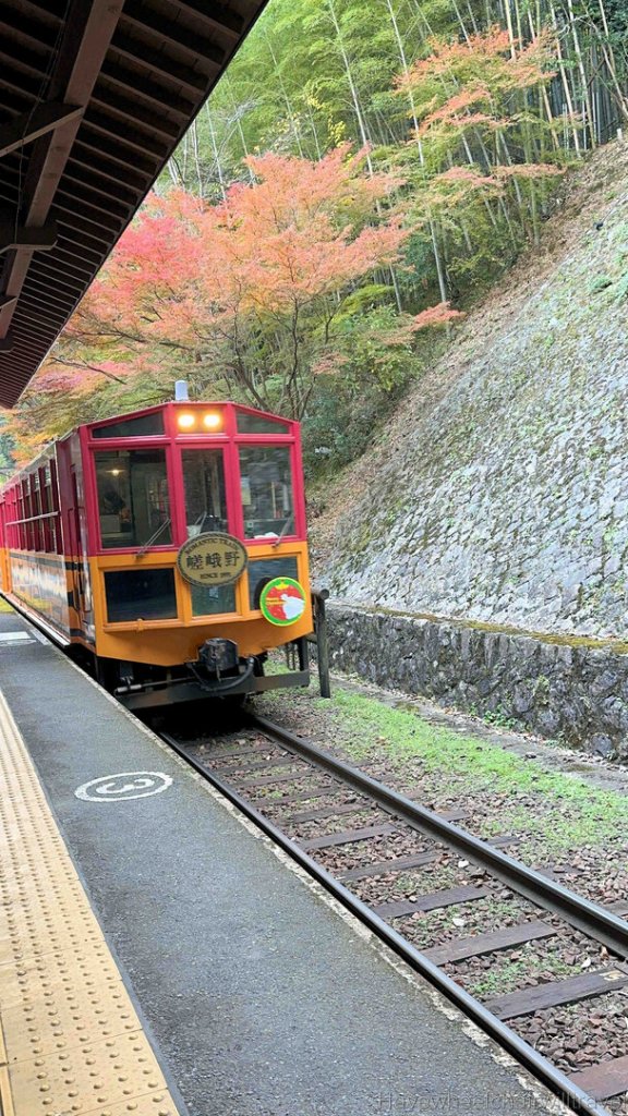 Sagano Romantic Train review - Have Wheelchair Will Travel