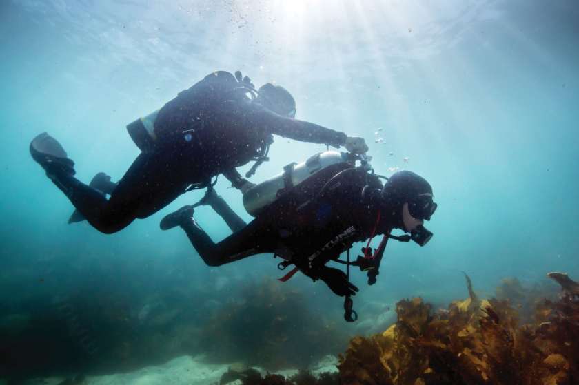 Sargood on Collaroy Advertorial image options (1)