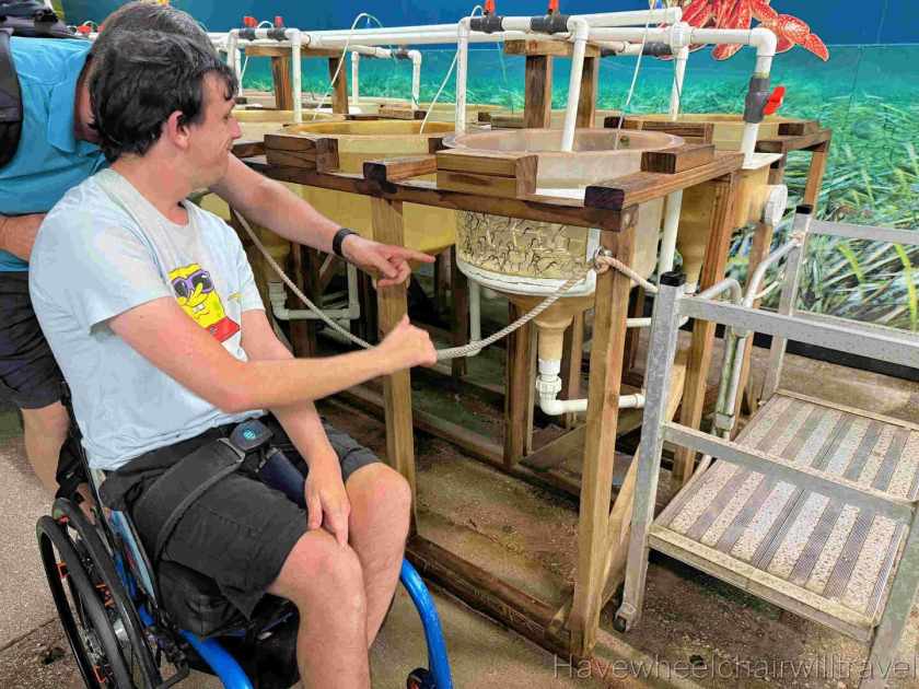 Seahorse World Tasmania - Have Wheelchair Will Travel