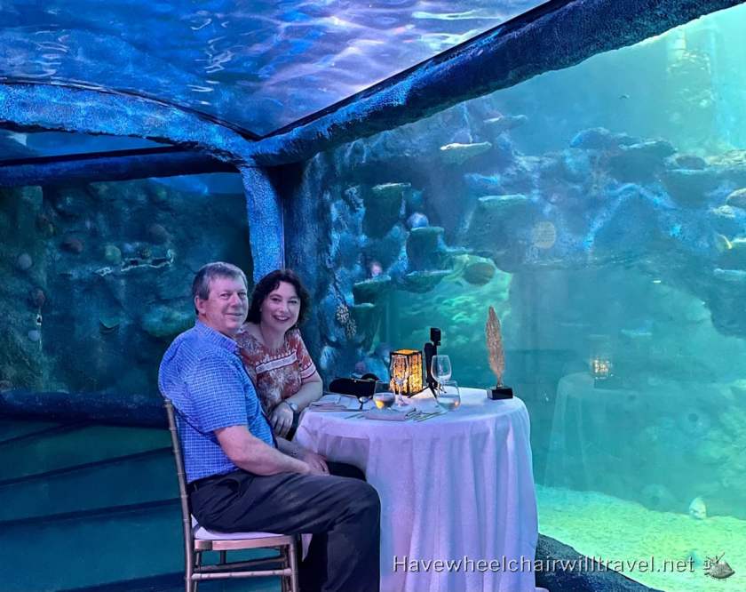 SEA LIFE Sydney Aquarium - accessible Sydney - Have Wheelchair Will Travel