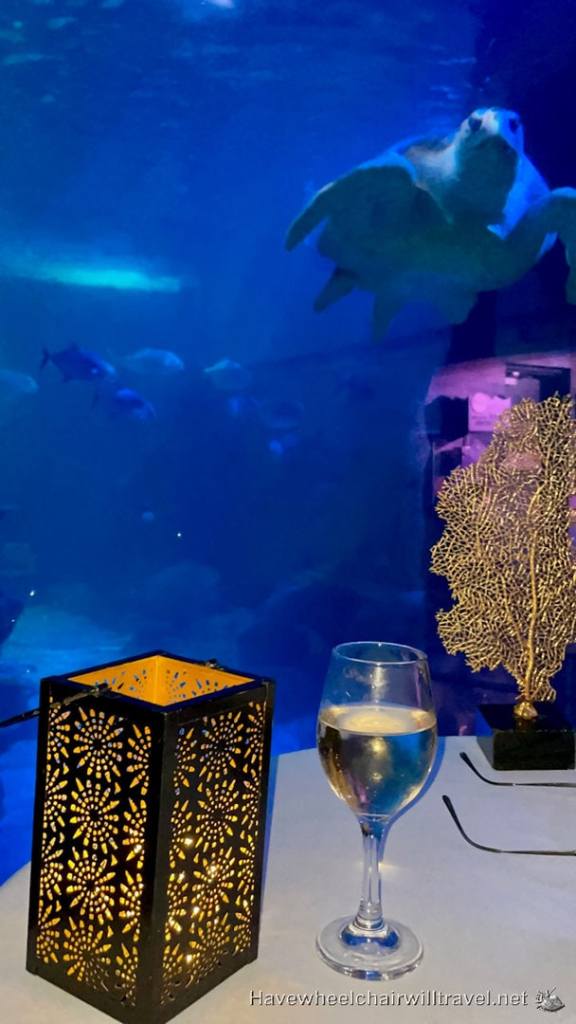 SEA LIFE Sydney Aquarium - accessible Sydney - Have Wheelchair Will Travel