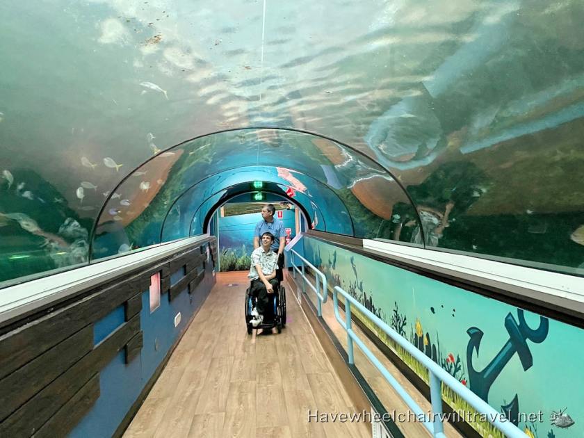SEA LIFE Sydney Aquarium - accessible Sydney - Have Wheelchair Will Travel
