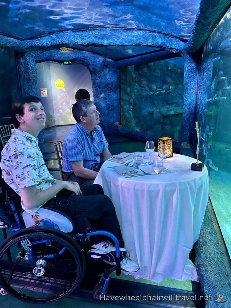 SEA LIFE Sydney Aquarium - accessible Sydney - Have Wheelchair Will Travel