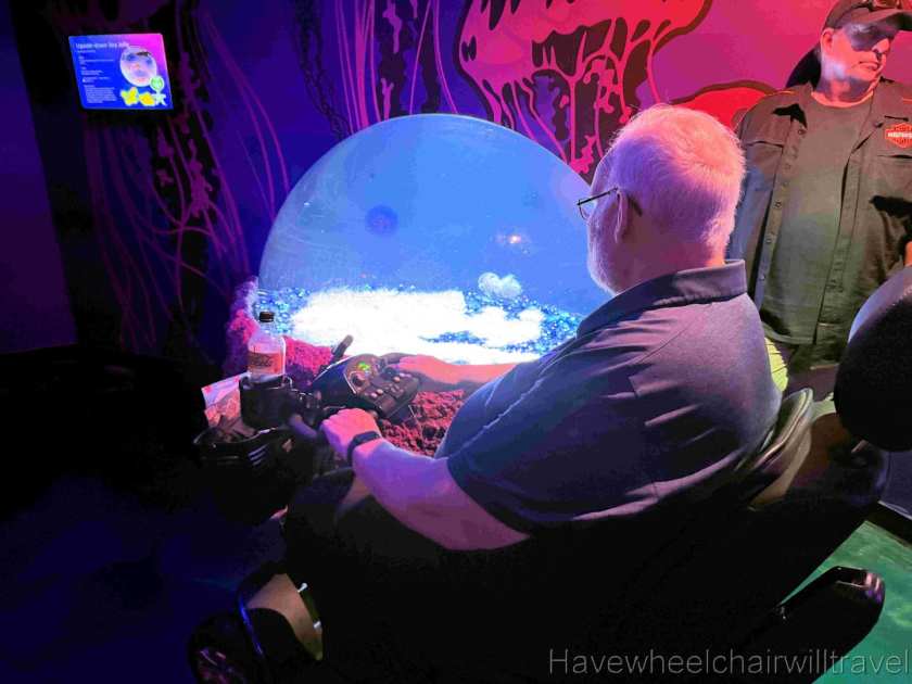 SEA LIFE Sunshine Coast Aquarium review - Have Wheelchair Will Travel 