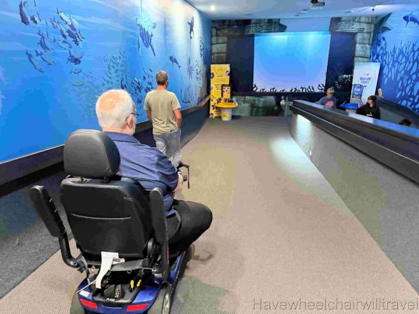 SEA LIFE Sunshine Coast Aquarium review - Have Wheelchair Will Travel 