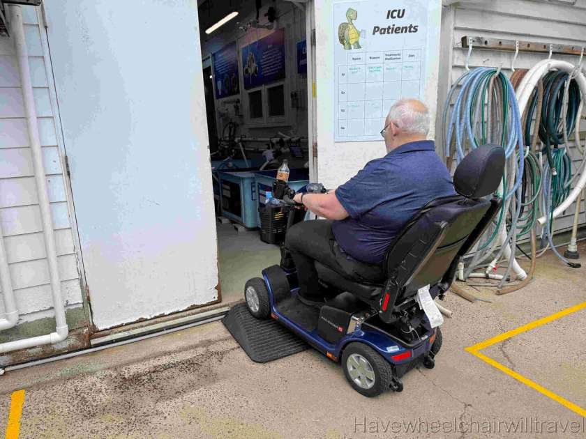 SEA LIFE Sunshine Coast Aquarium review - Have Wheelchair Will Travel 