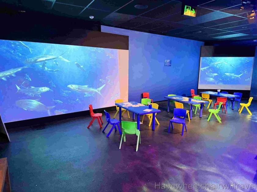 SEA LIFE Sunshine Coast Aquarium review - Have Wheelchair Will Travel 